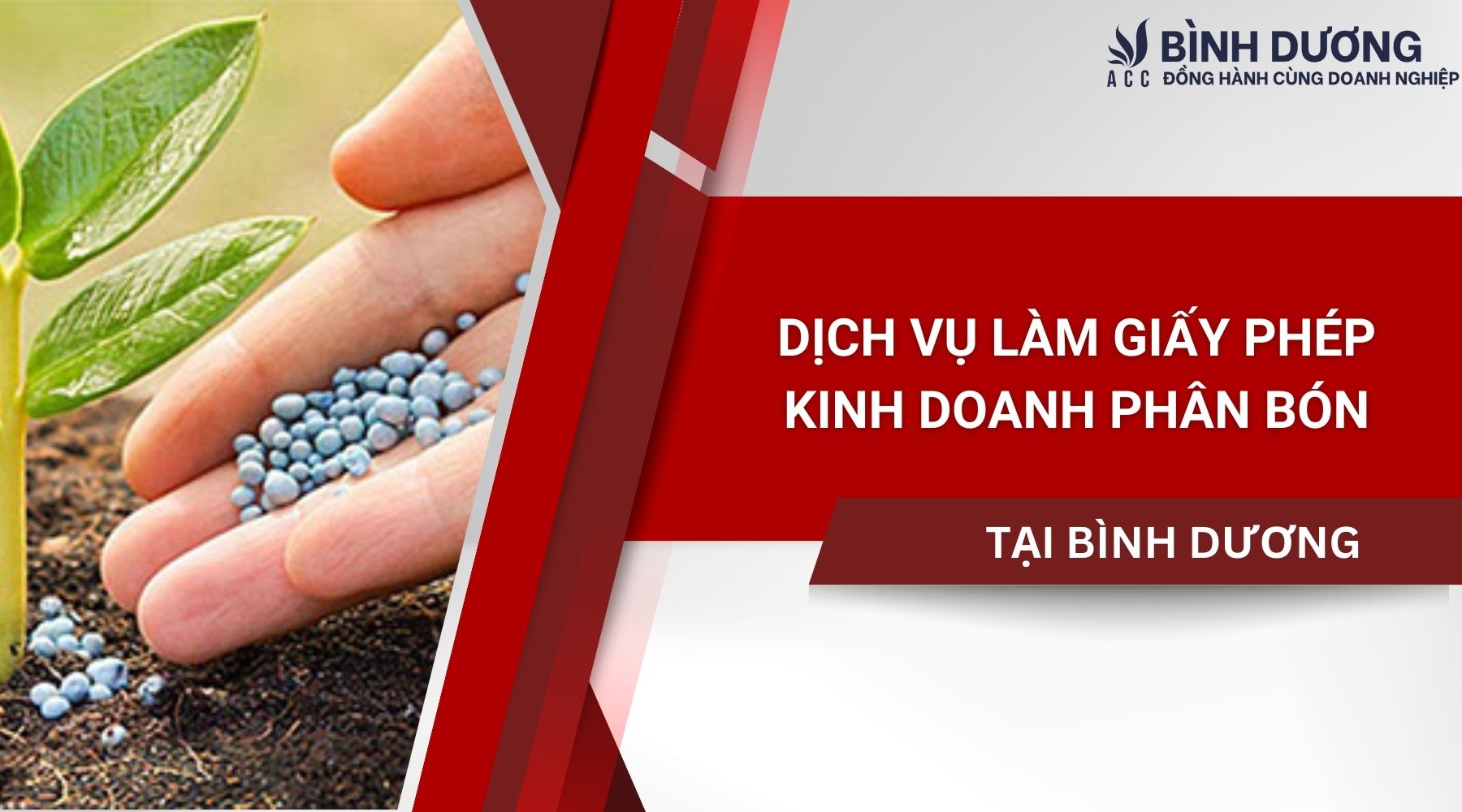Dịch vụ làm giấy phép kinh doanh phân bón tại Bình Dương