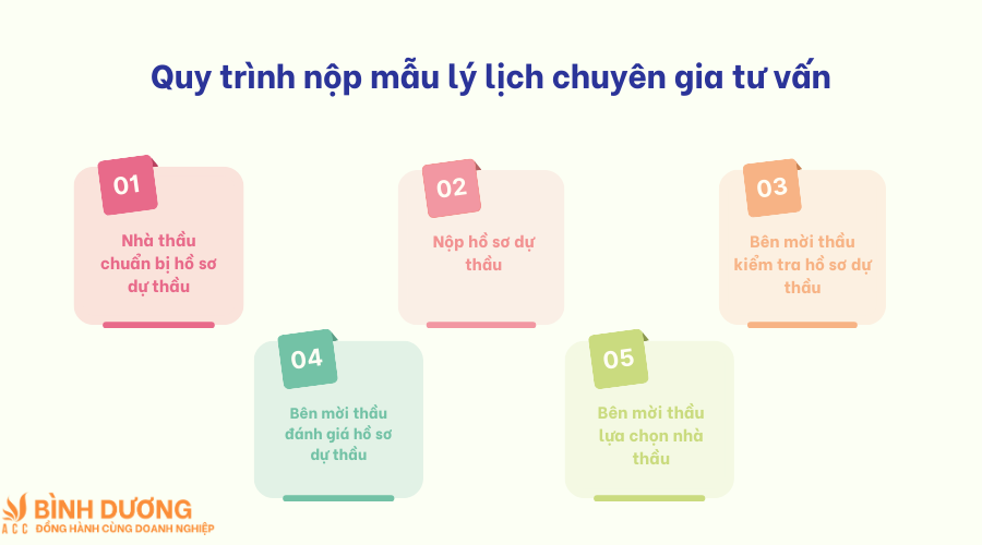 Mẫu lý lịch chuyên gia tư vấn