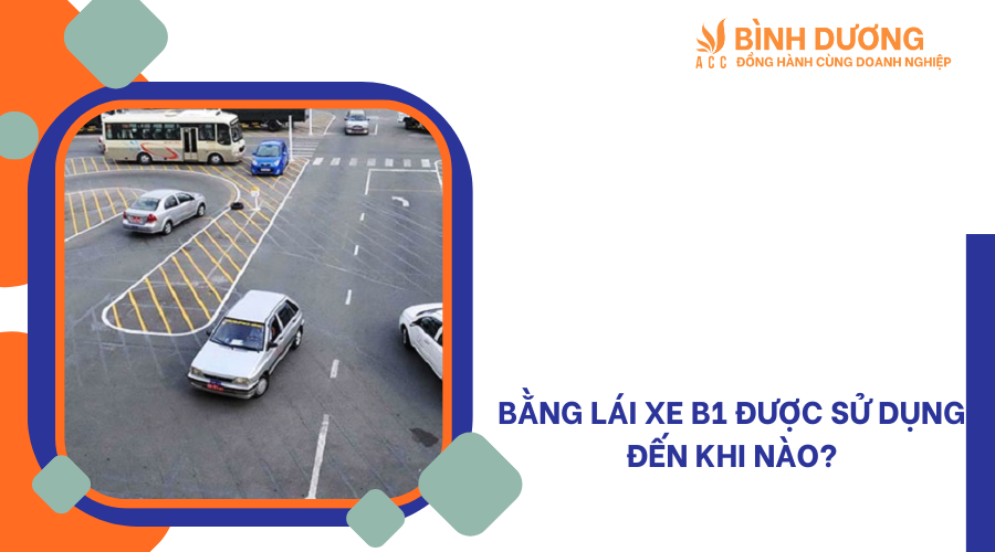 Tuổi cấp bằng lái xe B1