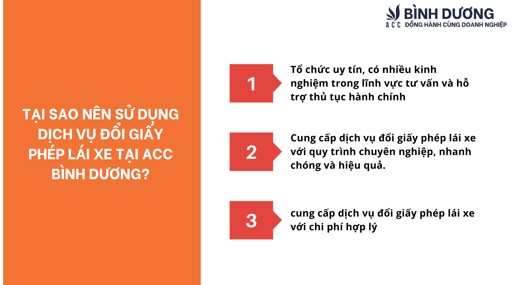 Dịch vụ đổi giấy phép lái xe tại Bàu Bàng