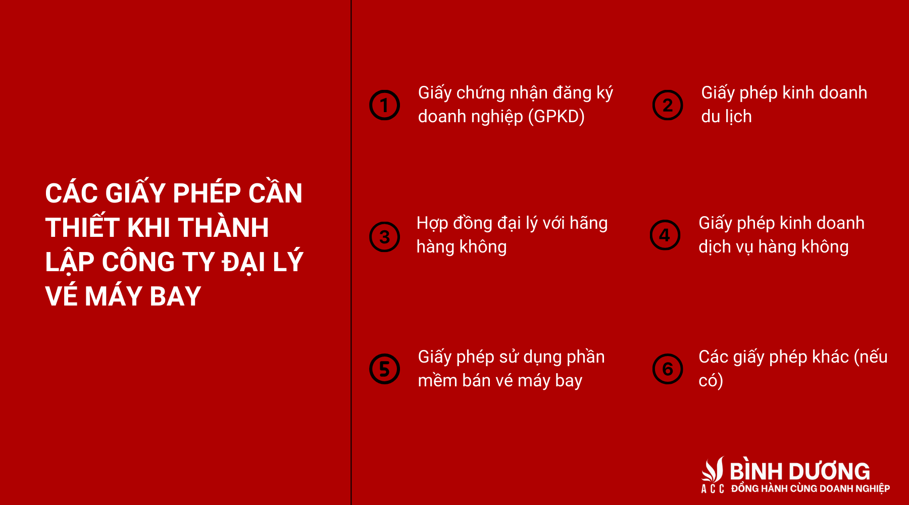 Quy trình thành lập công ty đại lý vé máy bay