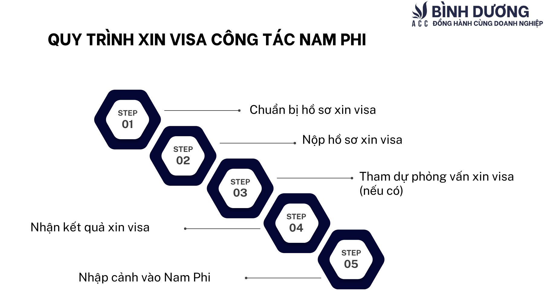 Hướng dẫn xin visa công tác Nam Phi