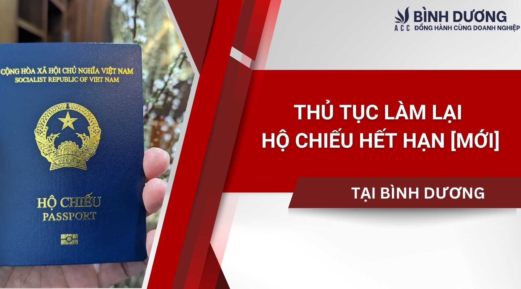 Thủ tục làm lại hộ chiếu hết hạn tại Bình Dương [Mới]
