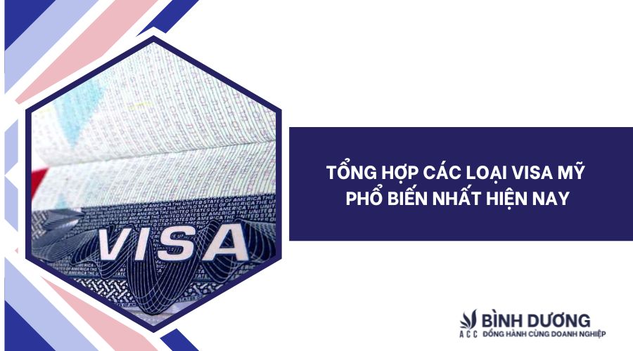 Tổng hợp các loại visa Mỹ phổ biến nhất hiện nay