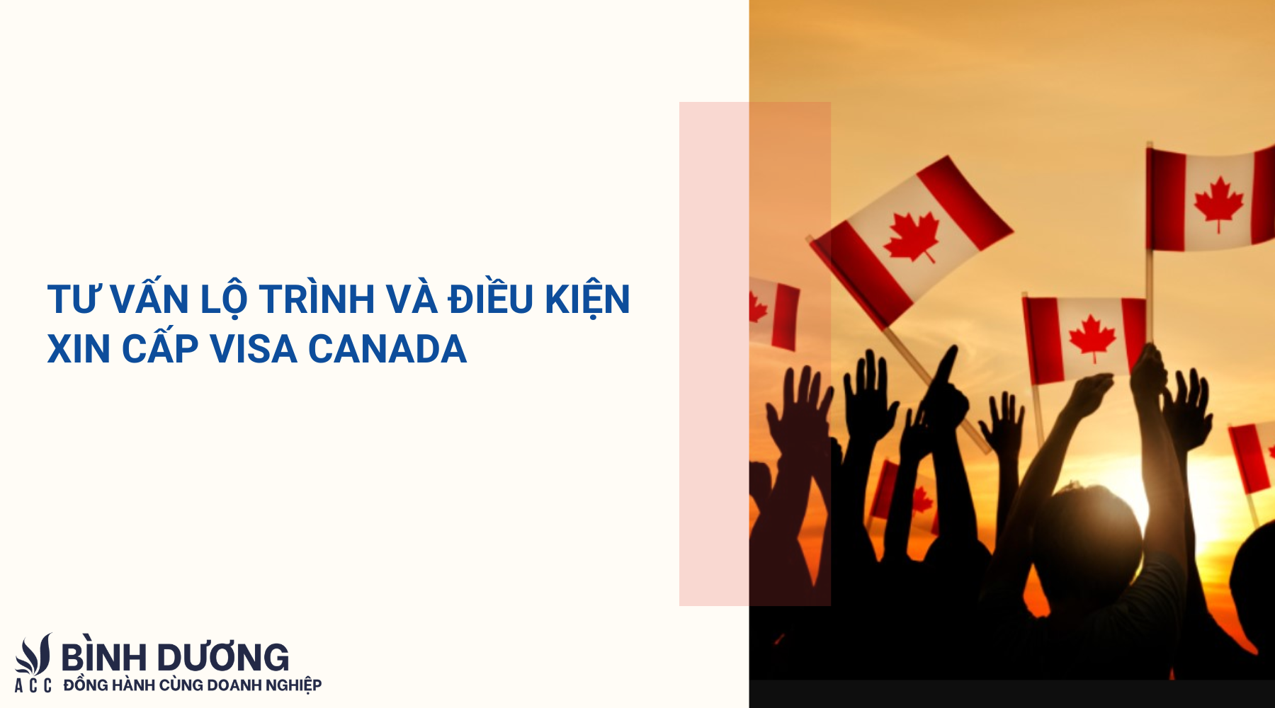 Tư vấn lộ trình và điều kiện xin cấp visa Canada