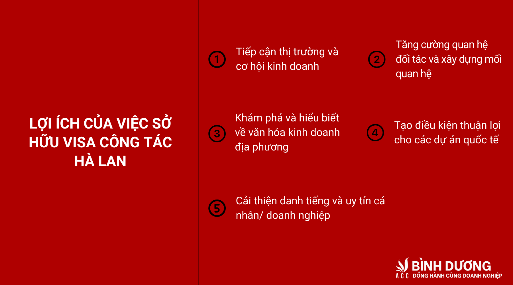 Thủ tục xin visa Hà Lan công tác