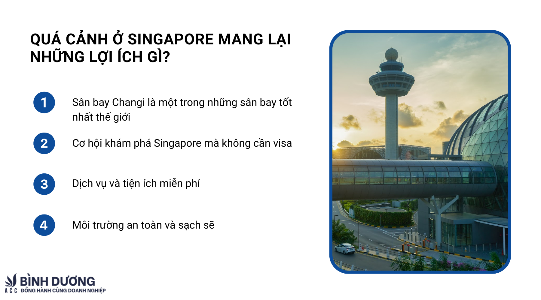 7. Các Hành Vi Bị Cấm Trong Hoạt Động Quá Cảnh