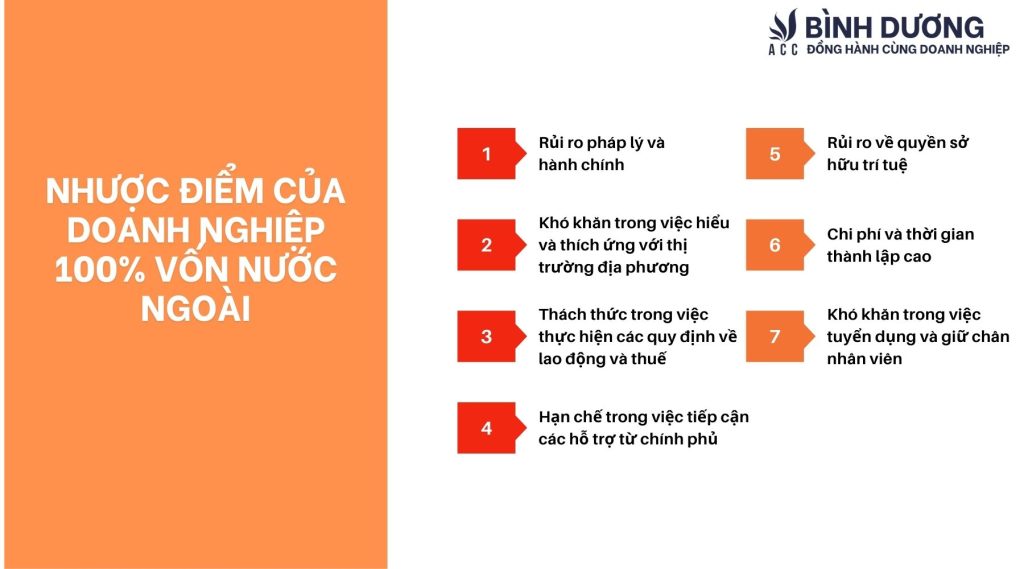 Ưu, nhược điểm của doanh nghiệp 100% vốn nước ngoài