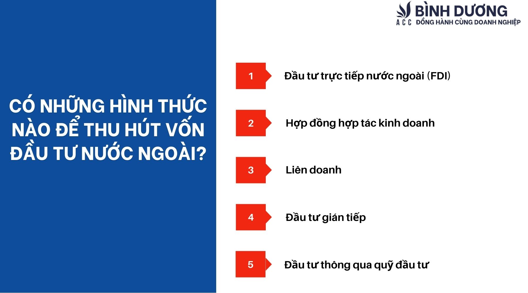 Có những hình thức nào để thu hút vốn đầu tư nước ngoài?
