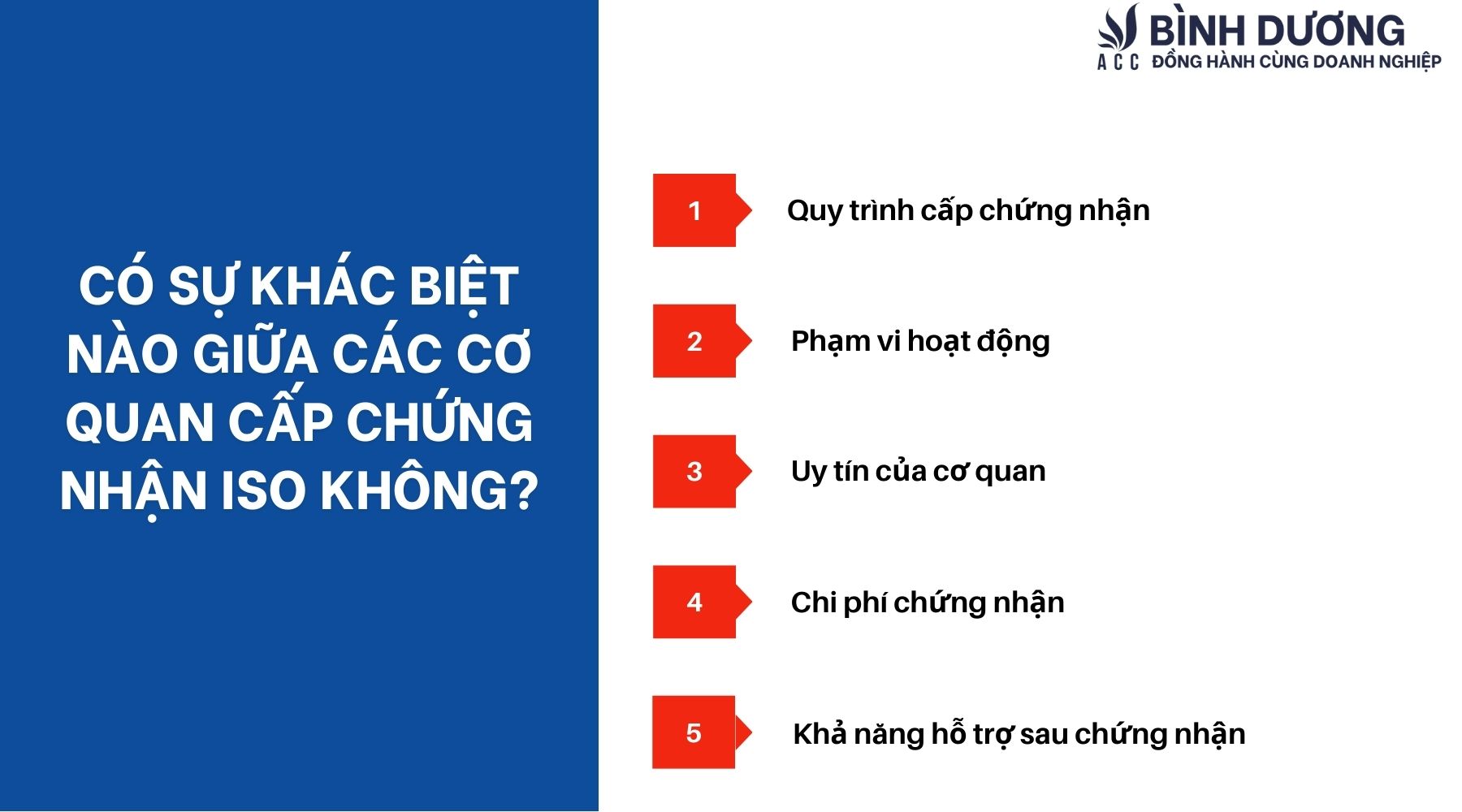 Có sự khác biệt nào giữa các cơ quan cấp chứng nhận ISO không?