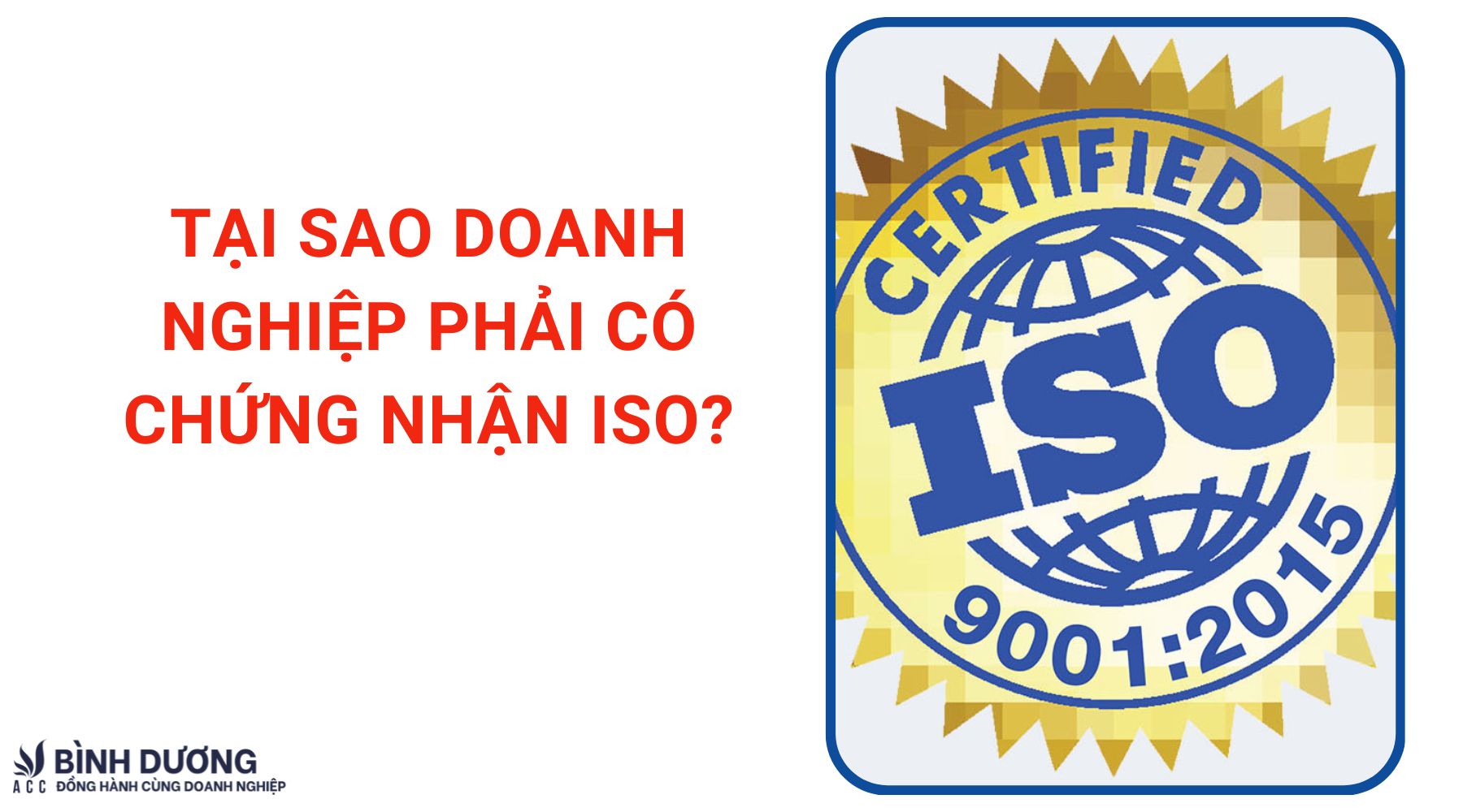 Tại sao doanh nghiệp phải có chứng nhận ISO?