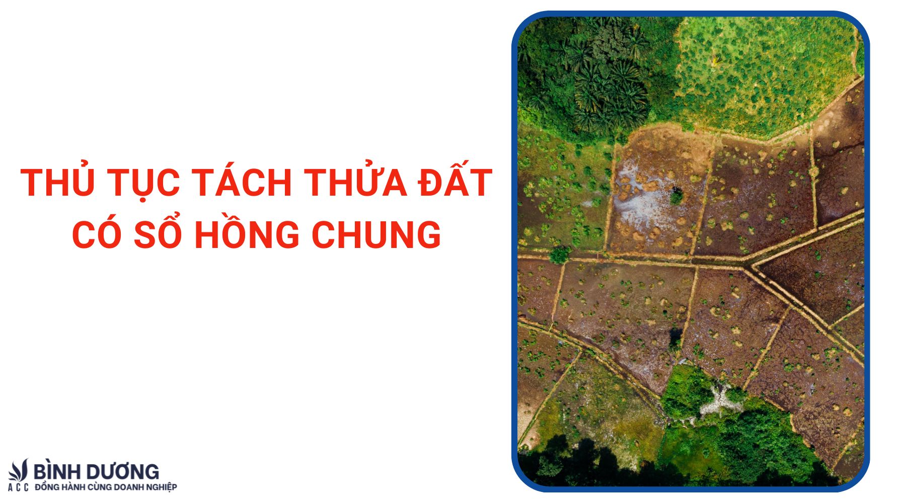 Thủ tục tách thửa đất có sổ hồng chung