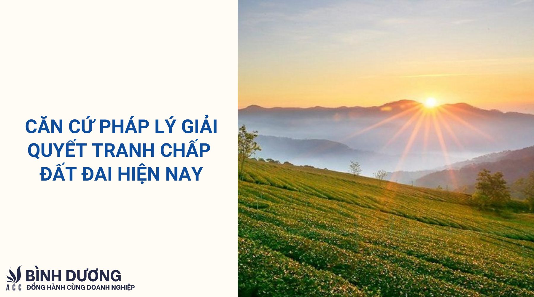 Căn cứ pháp lý giải quyết tranh chấp đất đai hiện nay