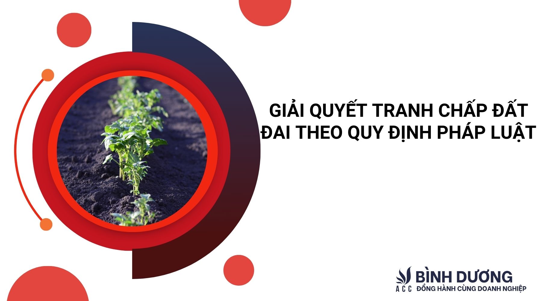 Giải quyết tranh chấp đất đai theo quy định pháp Luật