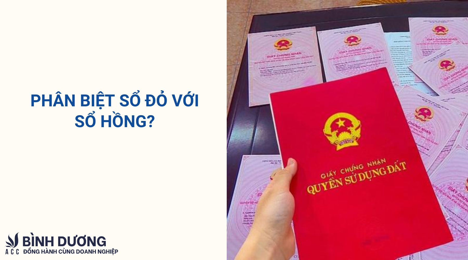 Trình tự thủ tục đổi sổ đỏ sang sổ hồng