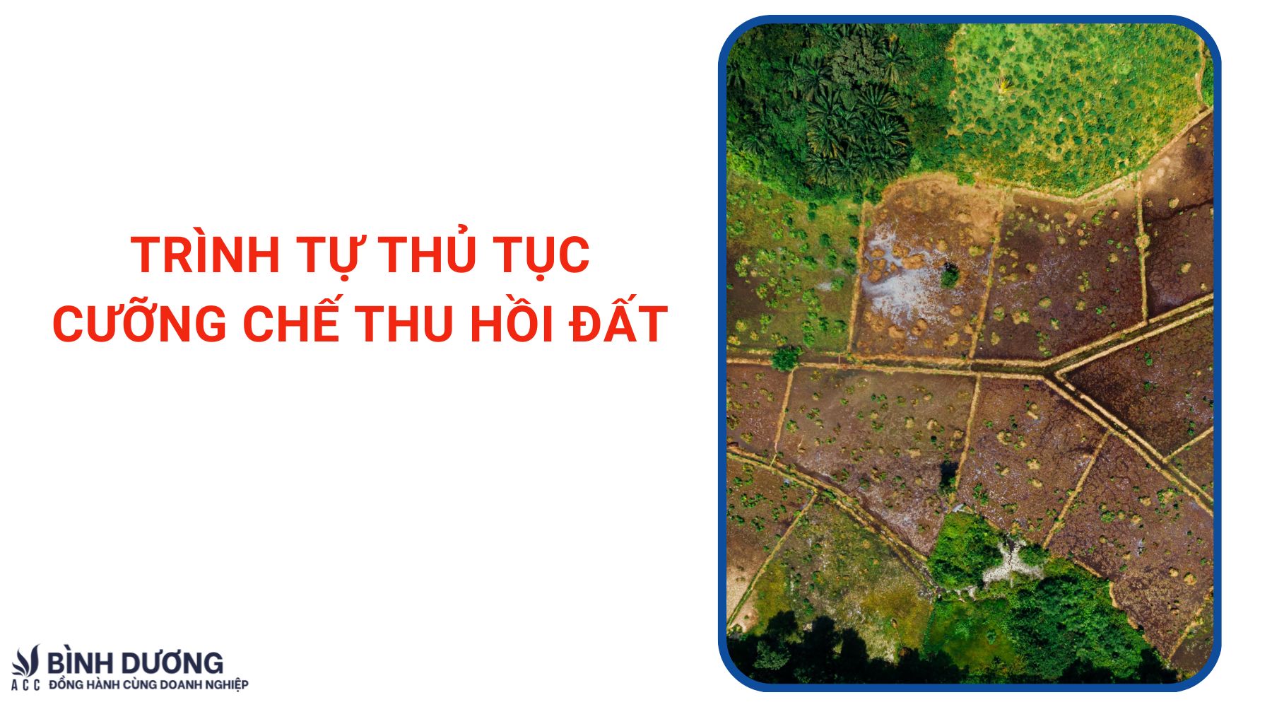 Trình tự thủ tục cưỡng chế thu hồi đất