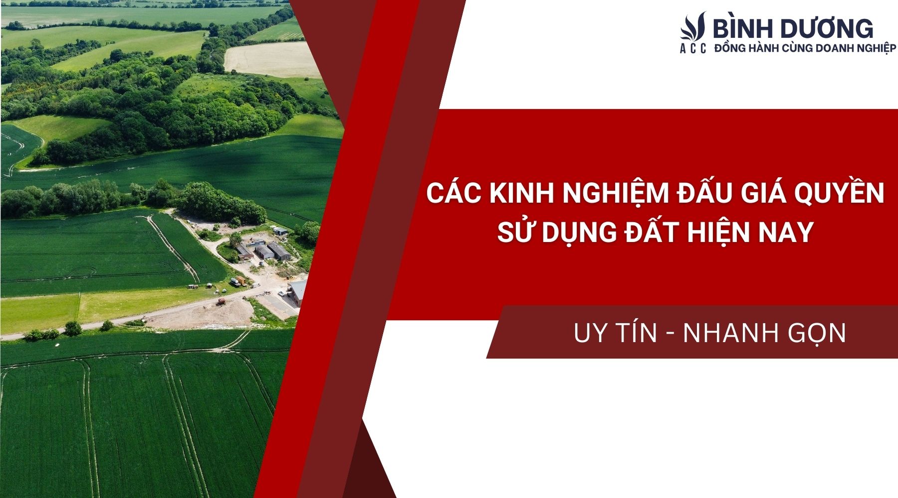 Các kinh nghiệm đấu giá quyền sử dụng đất hiện nay