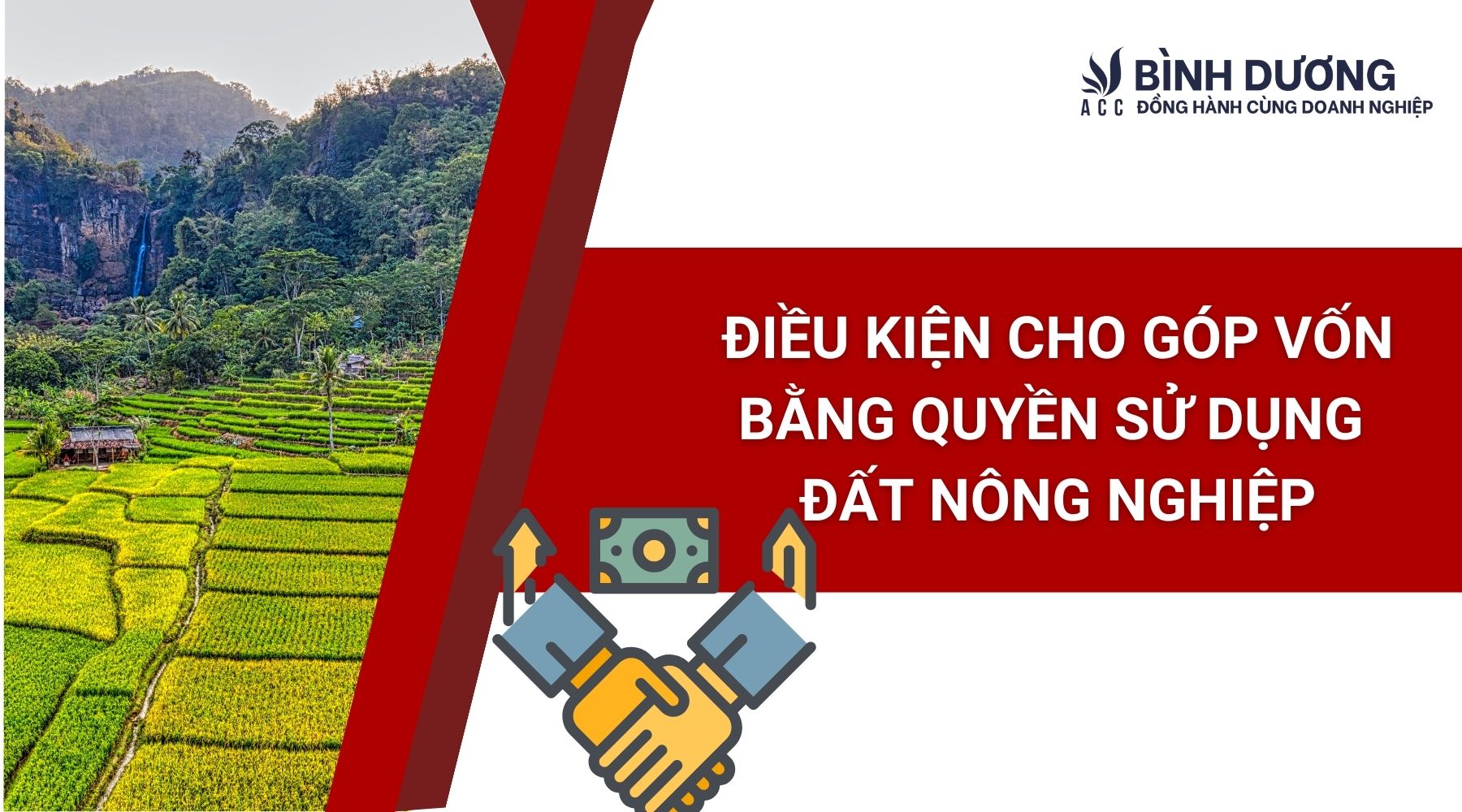 Điều kiện cho góp vốn bằng quyền sử dụng đất nông nghiệp