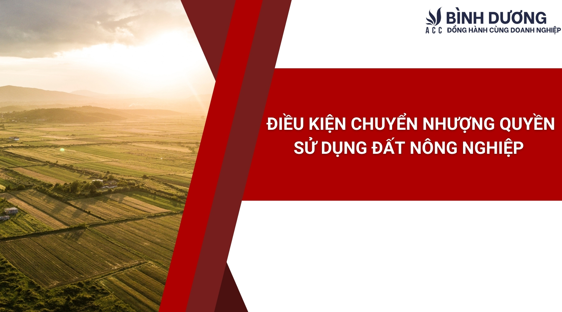 Điều kiện chuyển nhượng quyền sử dụng đất nông nghiệp
