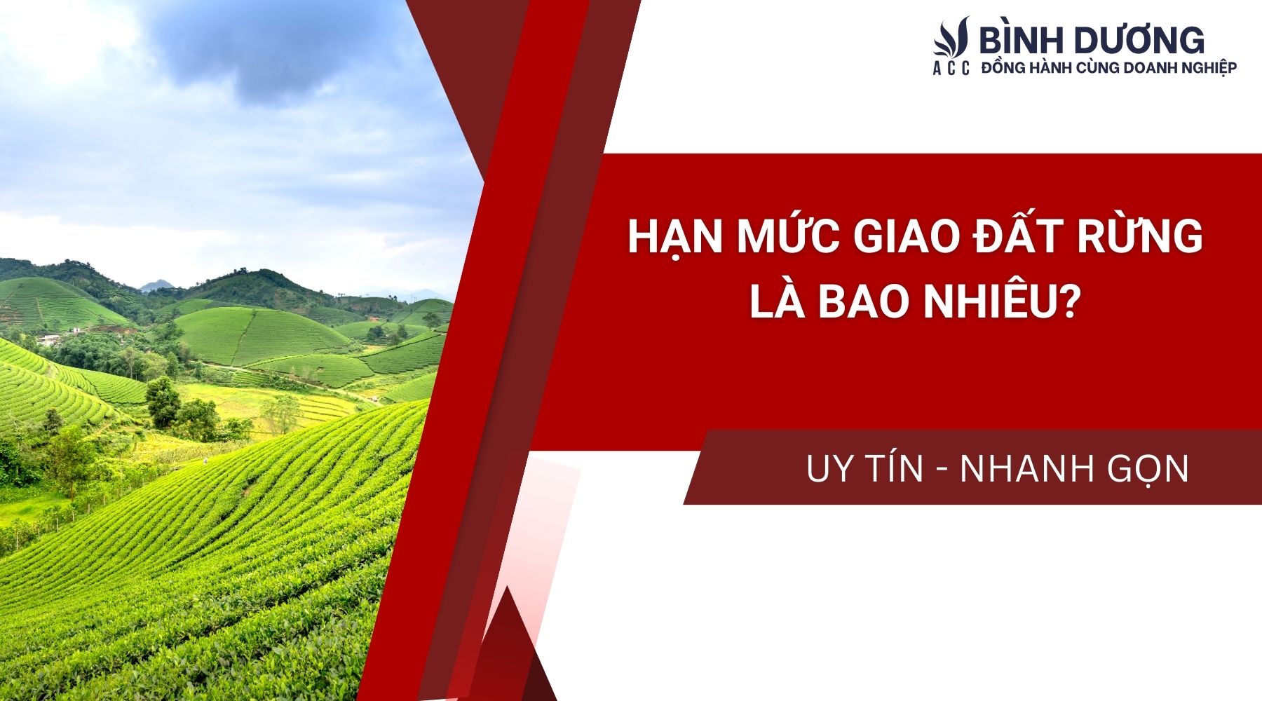 Thủ tục cấp giấy chứng nhận quyền sử dụng đất rừng