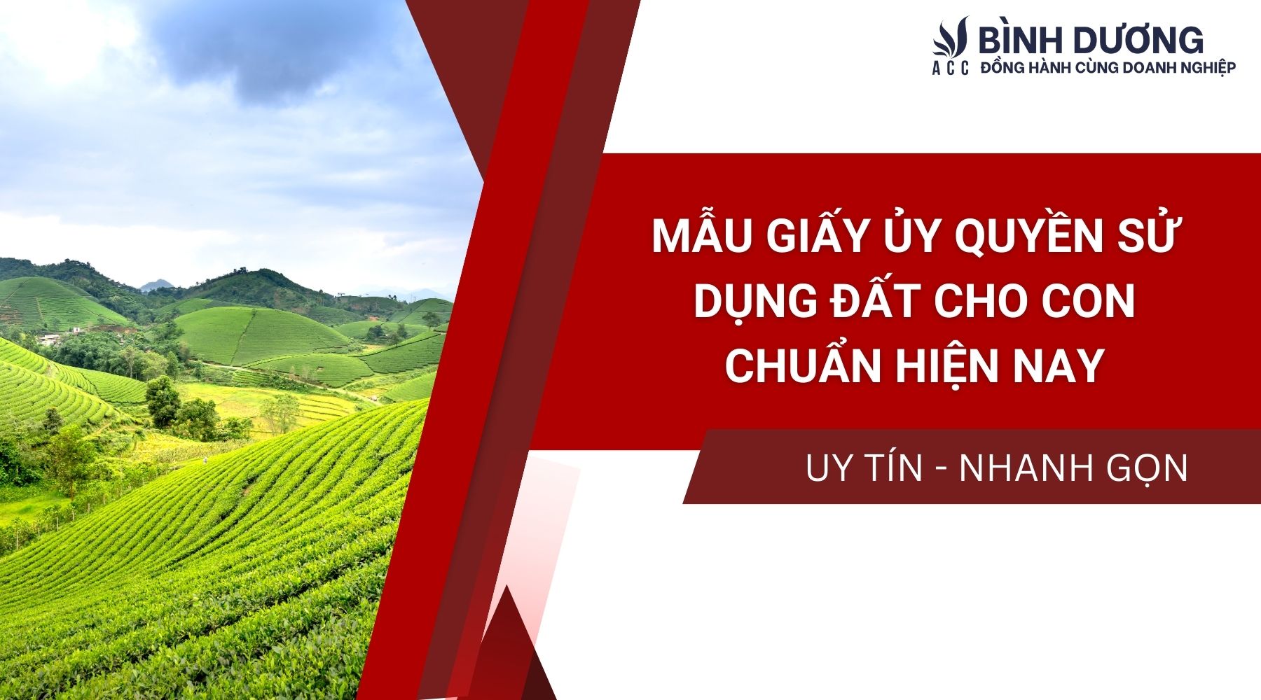Mẫu giấy ủy quyền sử dụng đất cho con chuẩn hiện nay