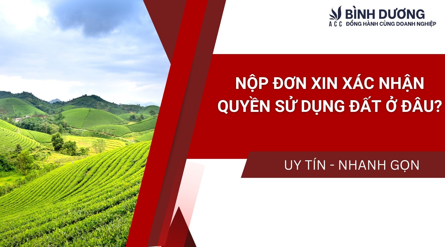 Mẫu đơn đề nghị xác nhận quyền sử dụng đất chi tiết