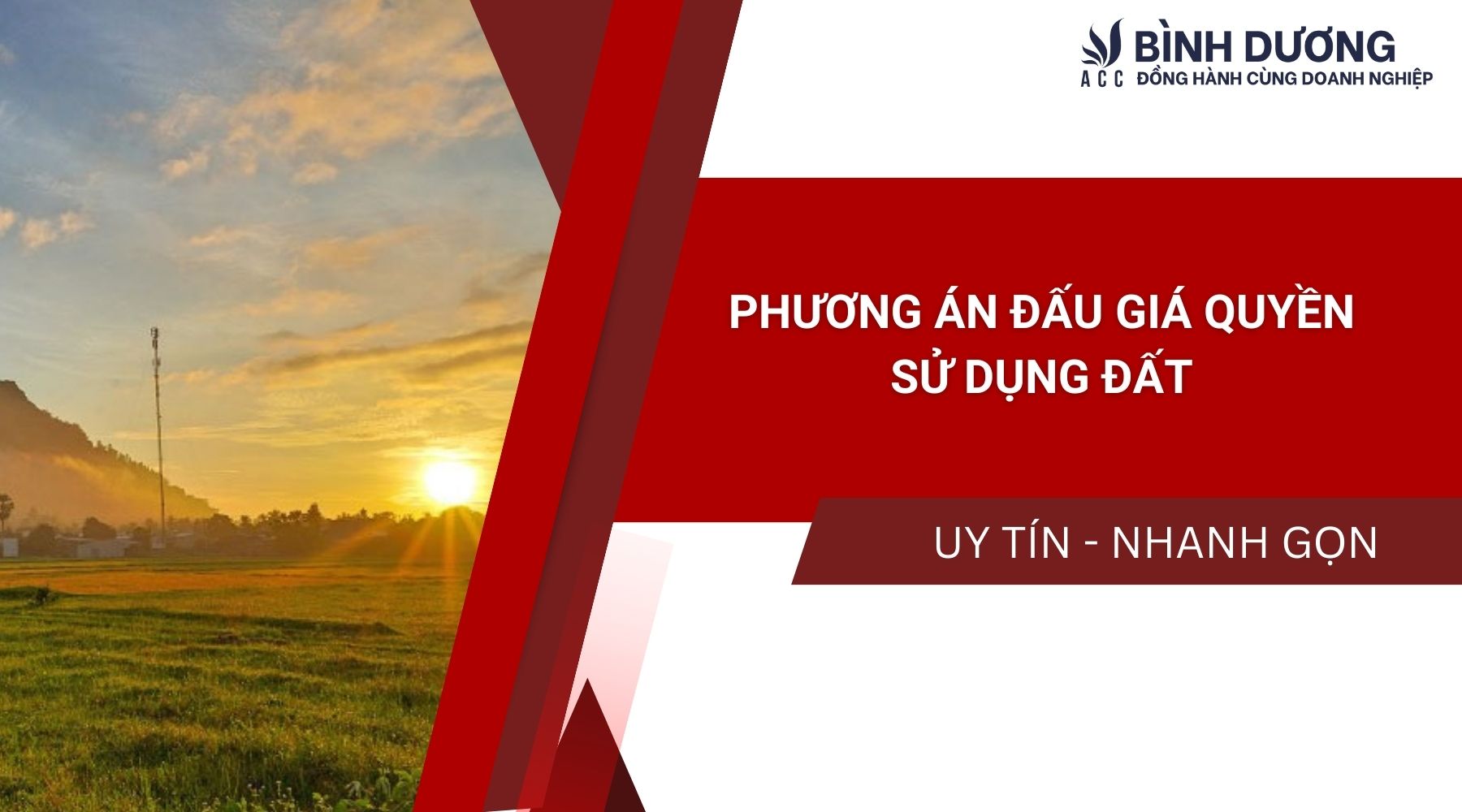 Quy chế bán đấu giá quyền sử dụng đất mới nhất