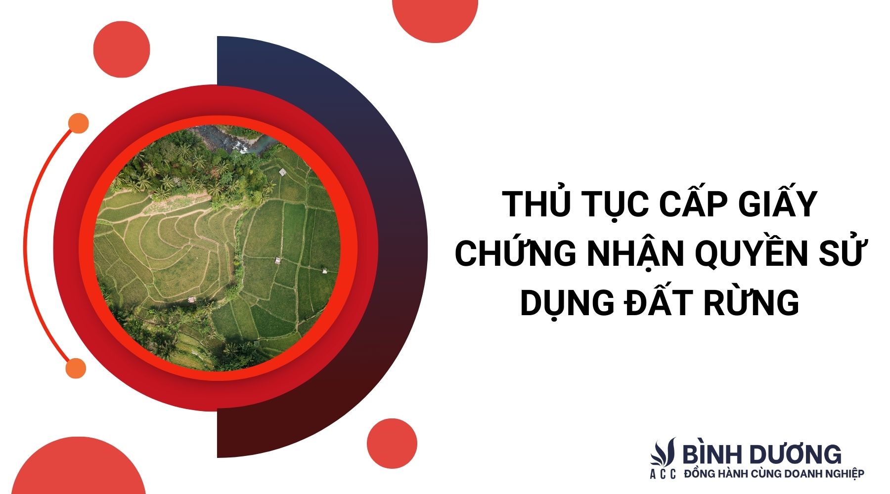 Thủ tục cấp giấy chứng nhận quyền sử dụng đất rừng