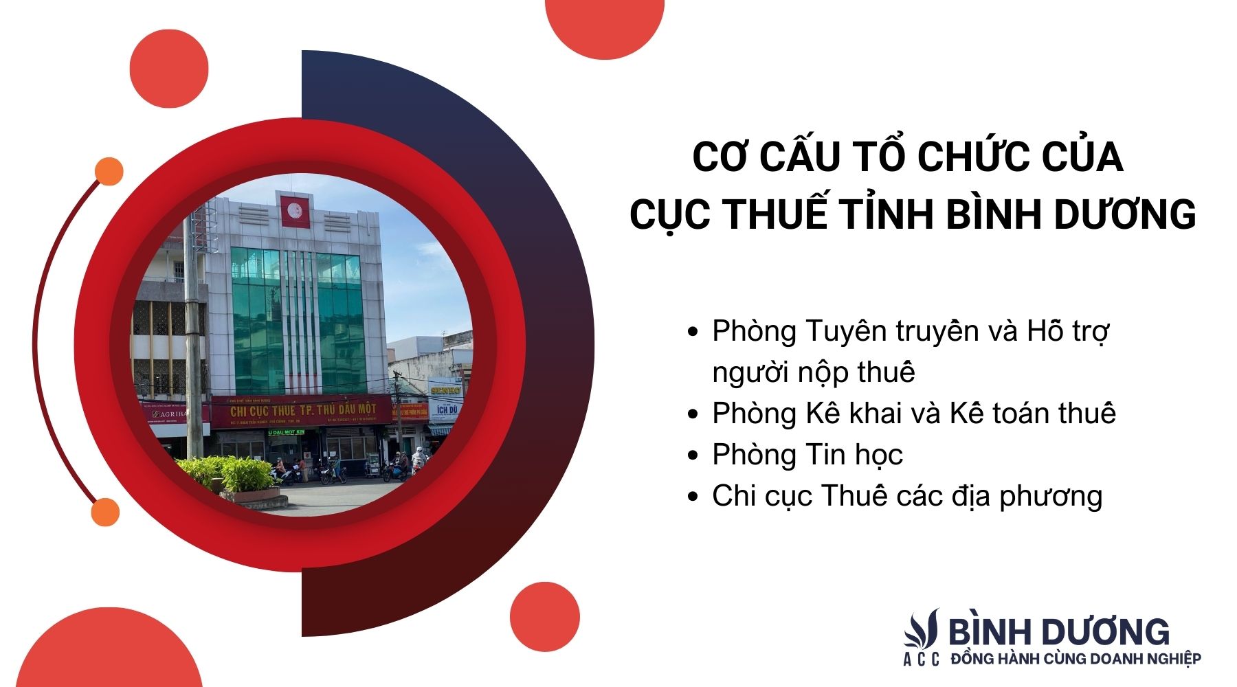 Cơ cấu tổ chức của Cục Thuế tỉnh Bình Dương