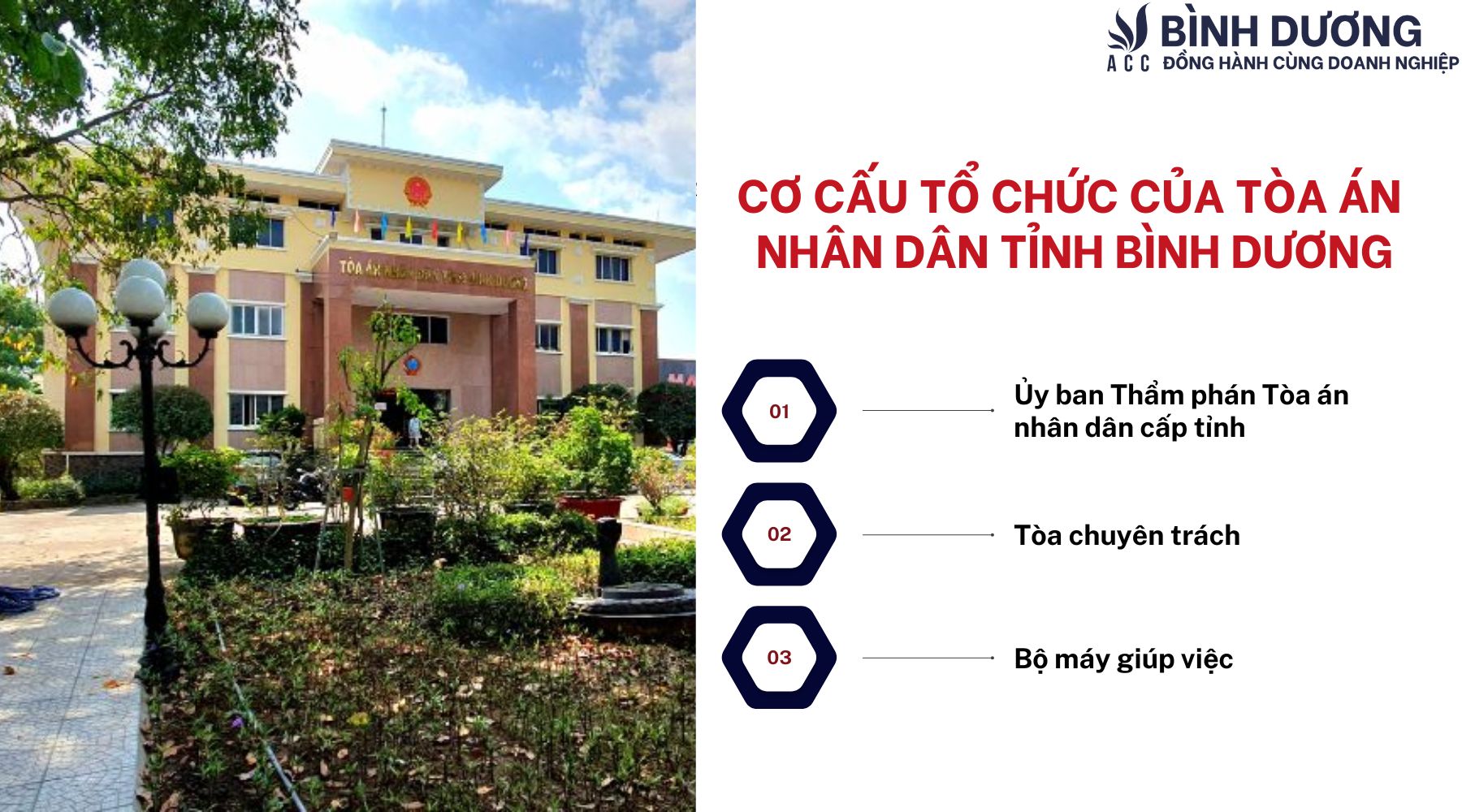 Cơ cấu tổ chức của Tòa án nhân dân tỉnh Bình Dương