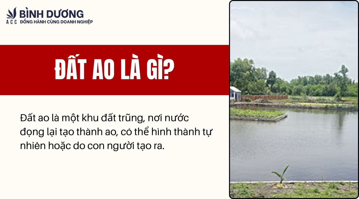 Đất ao là gì