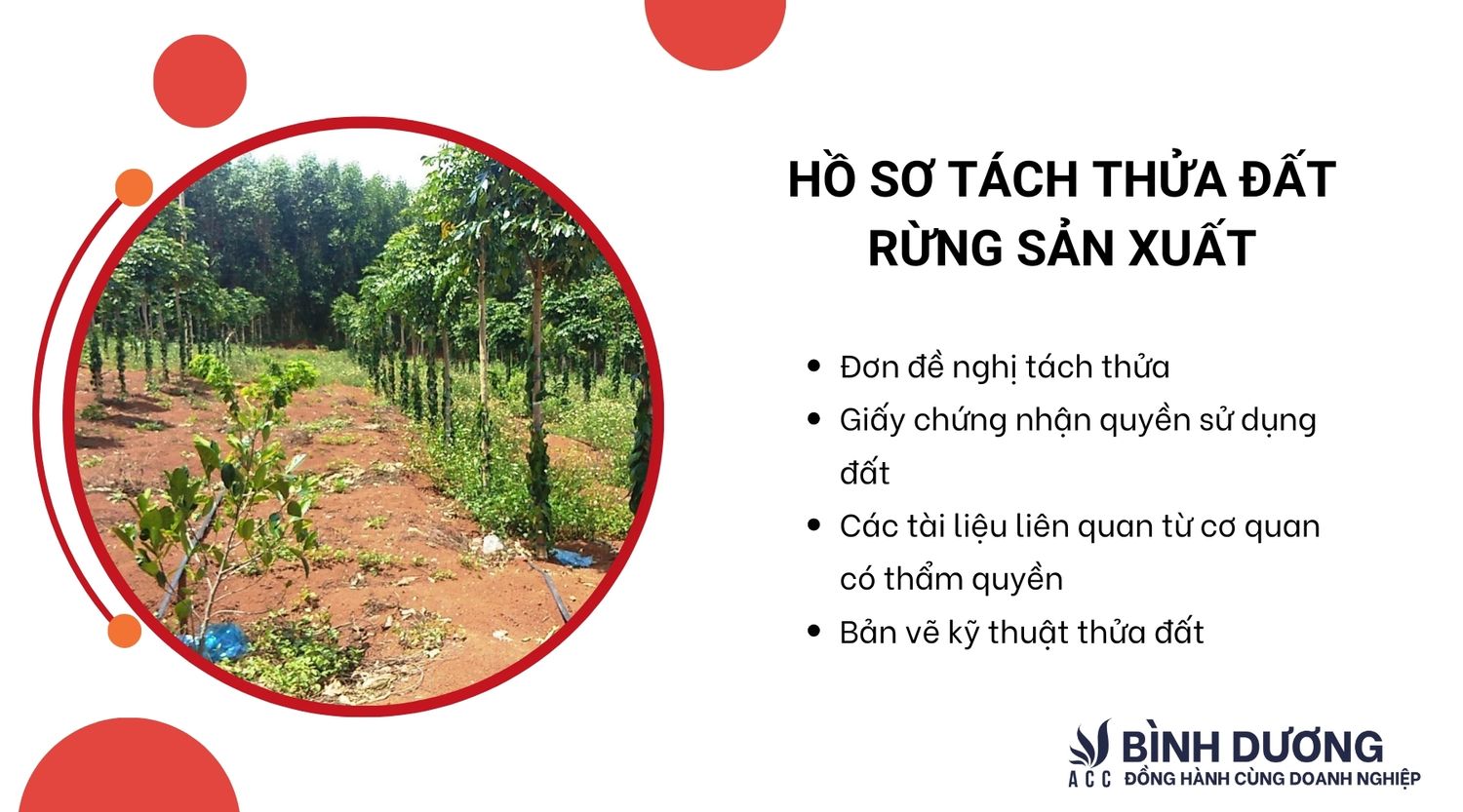 Hồ Sơ Tách Thửa Đất Rừng Sản Xuất