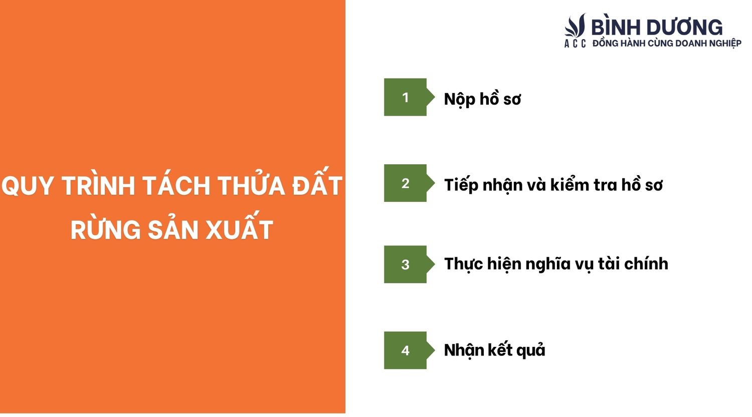 Quy Trình Tách Thửa Đất Rừng Sản Xuất