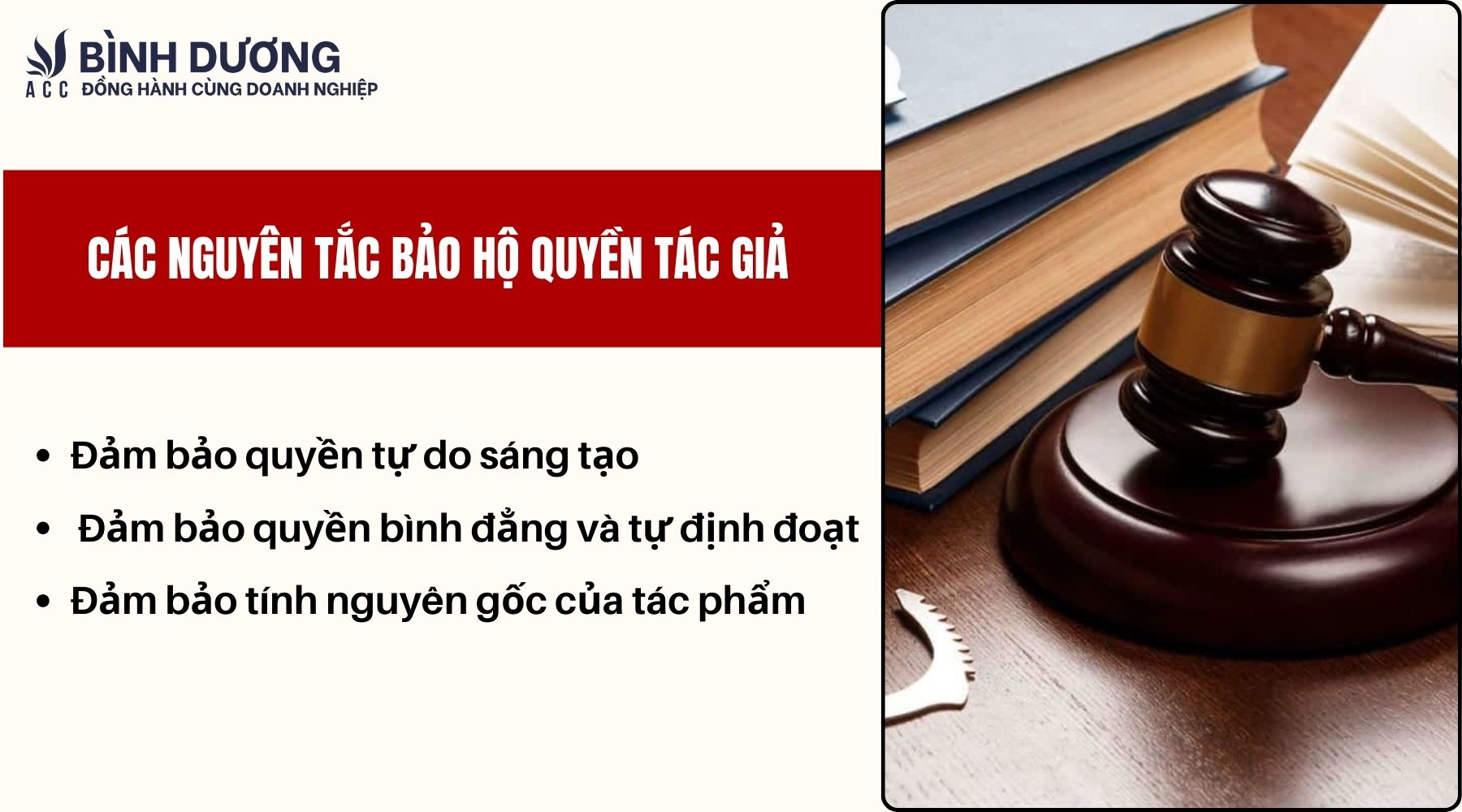 Các nguyên tắc bảo hộ quyền tác giả là gì?