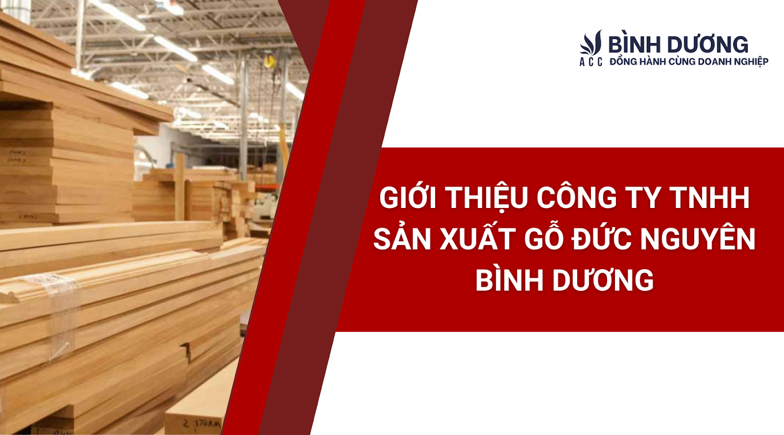 Giới thiệu Công ty TNHH Sản xuất Gỗ Đức Nguyên Bình Dương