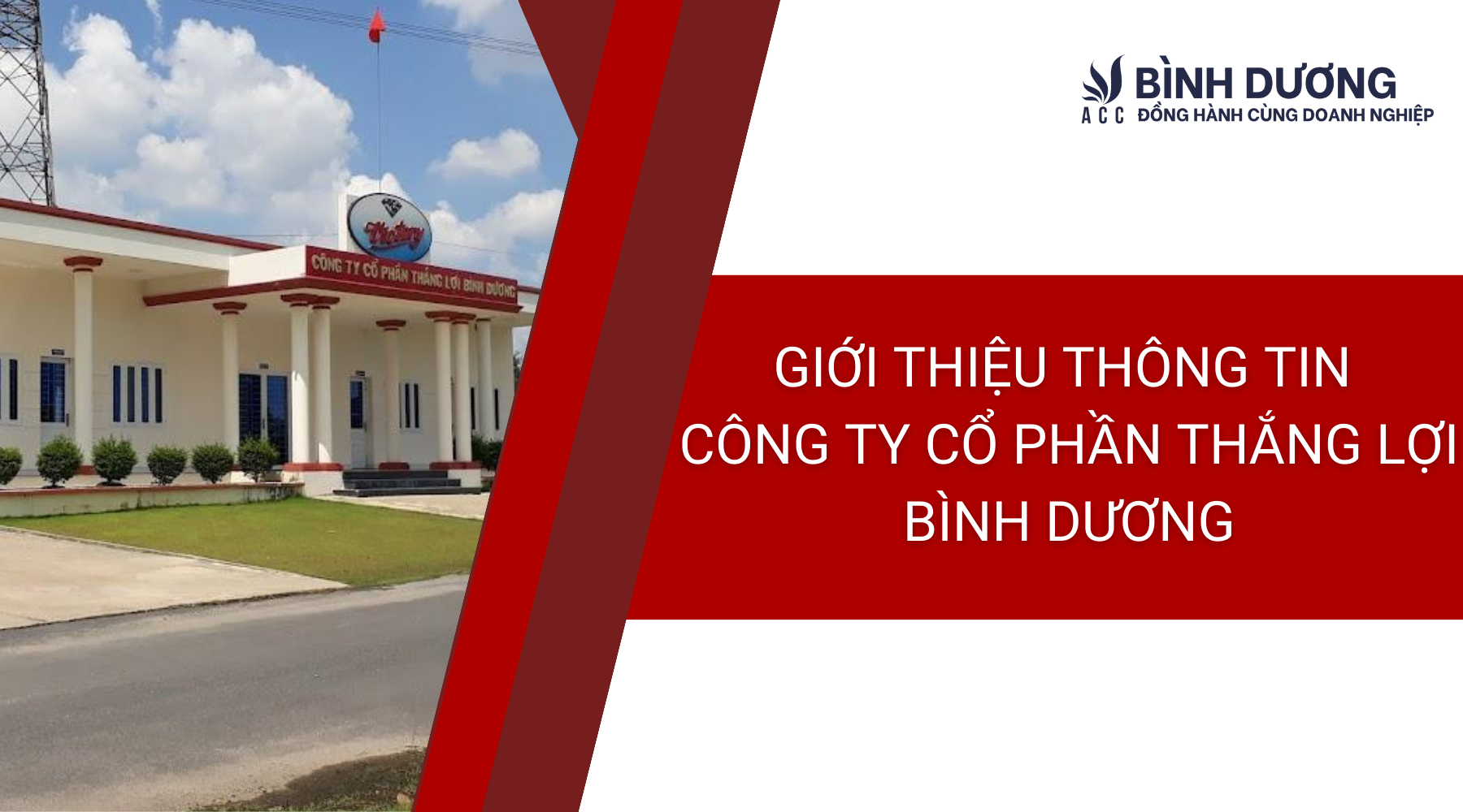 Giới thiệu thông tin Công ty Cổ phần Thắng Lợi Bình Dương