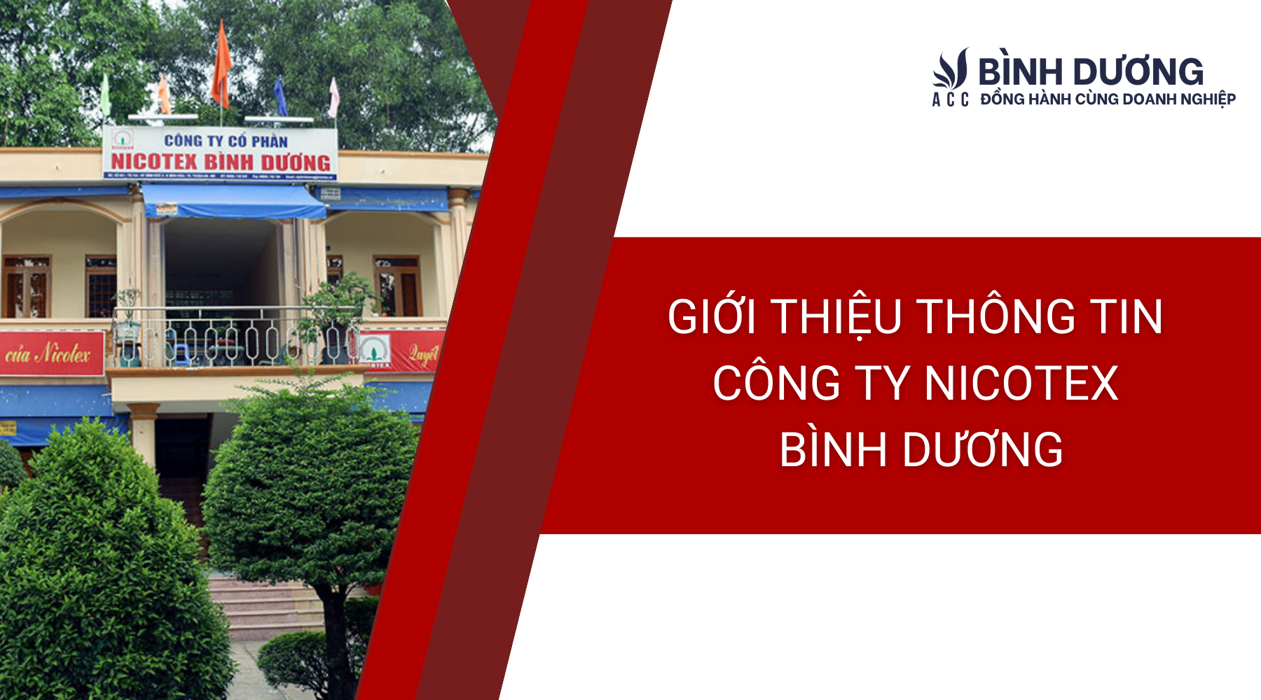Giới thiệu thông tin Công ty Nicotex Bình Dương