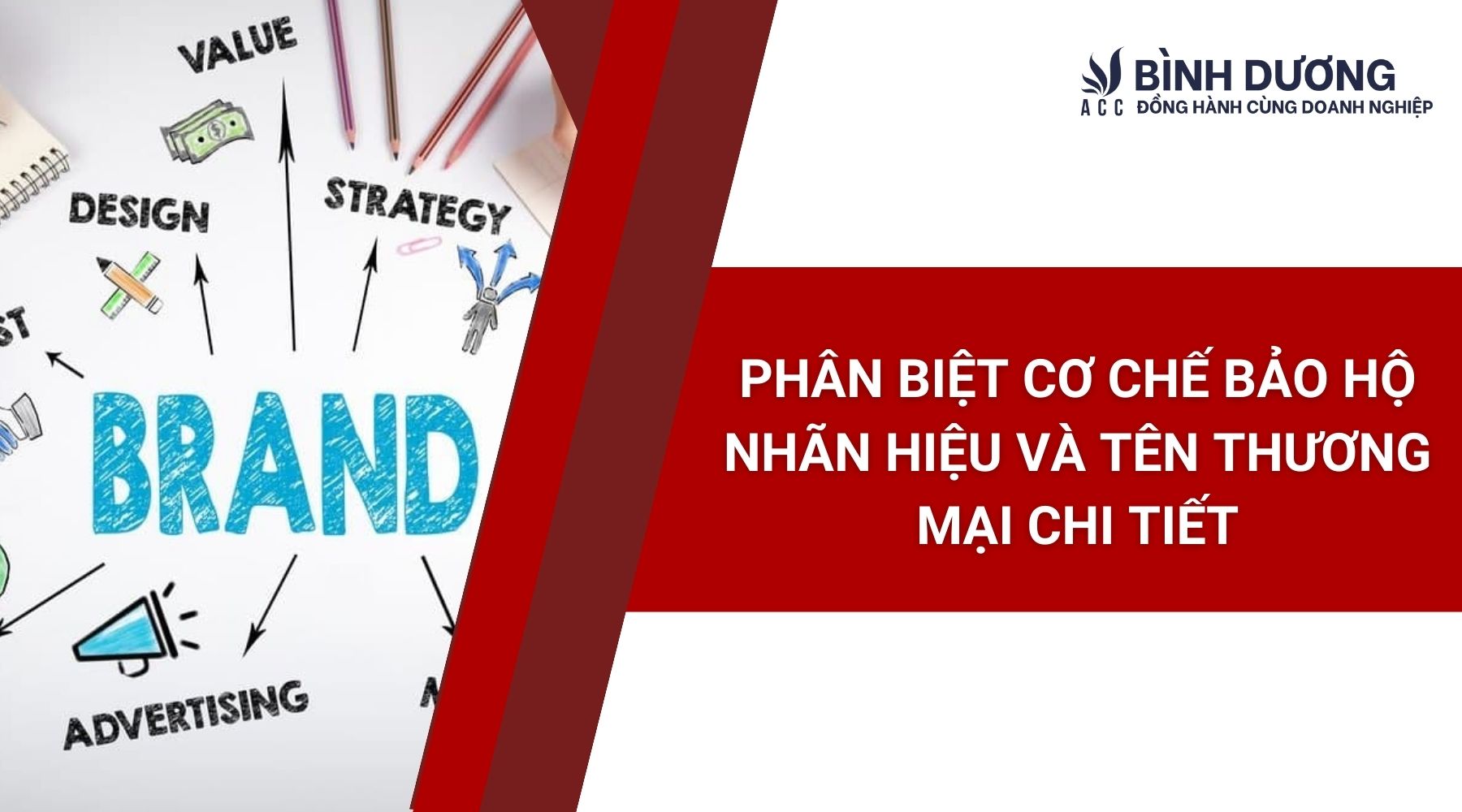Phân biệt cơ chế bảo hộ nhãn hiệu và tên thương mại chi tiết