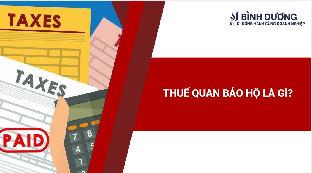 Thuế quan bảo hộ là gì?