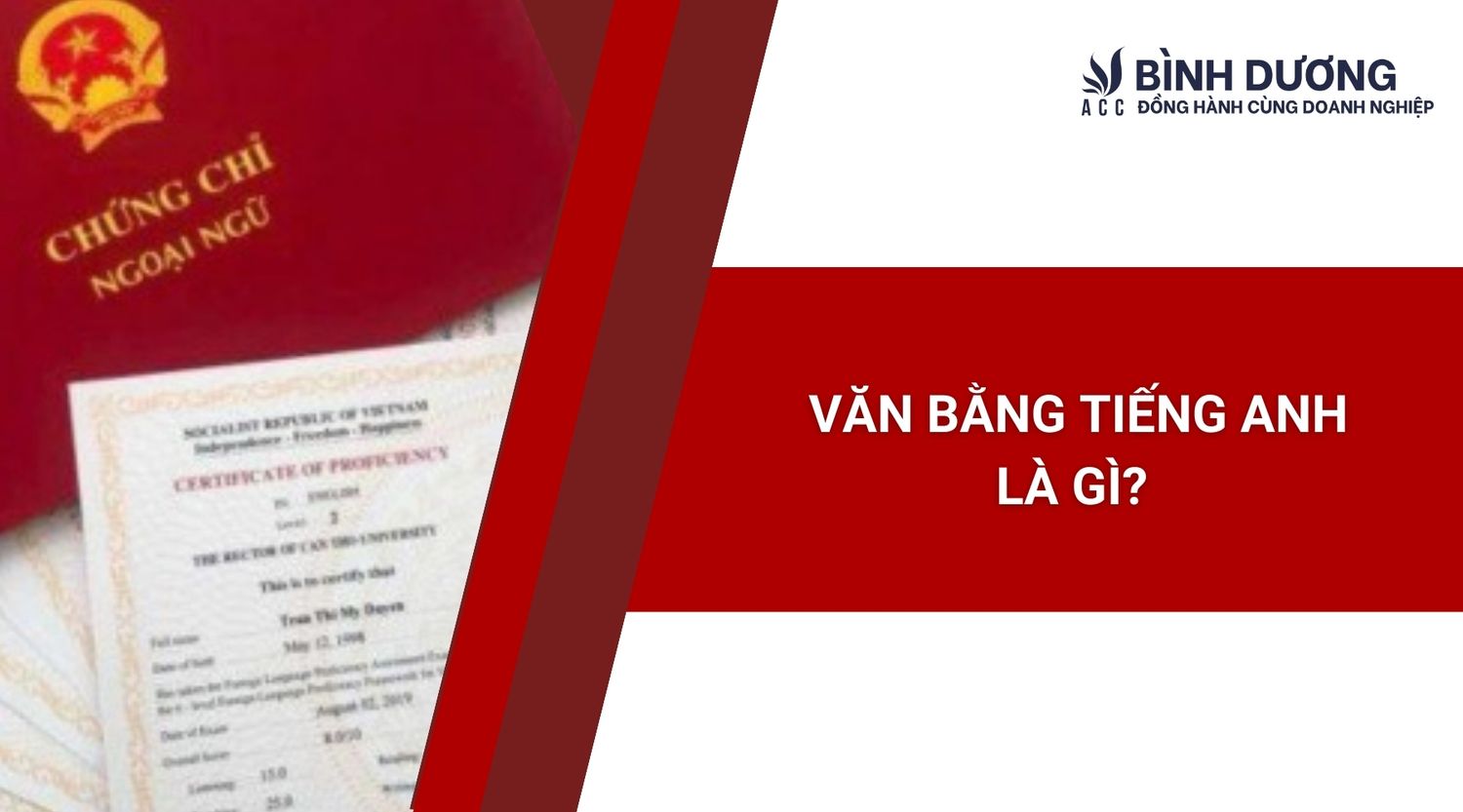 Văn bằng tiếng anh là gì?