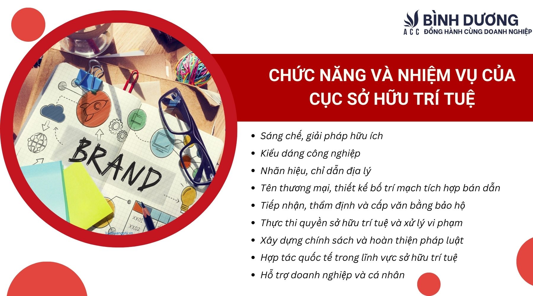 Chức năng và nhiệm vụ của Cục Sở hữu trí tuệ