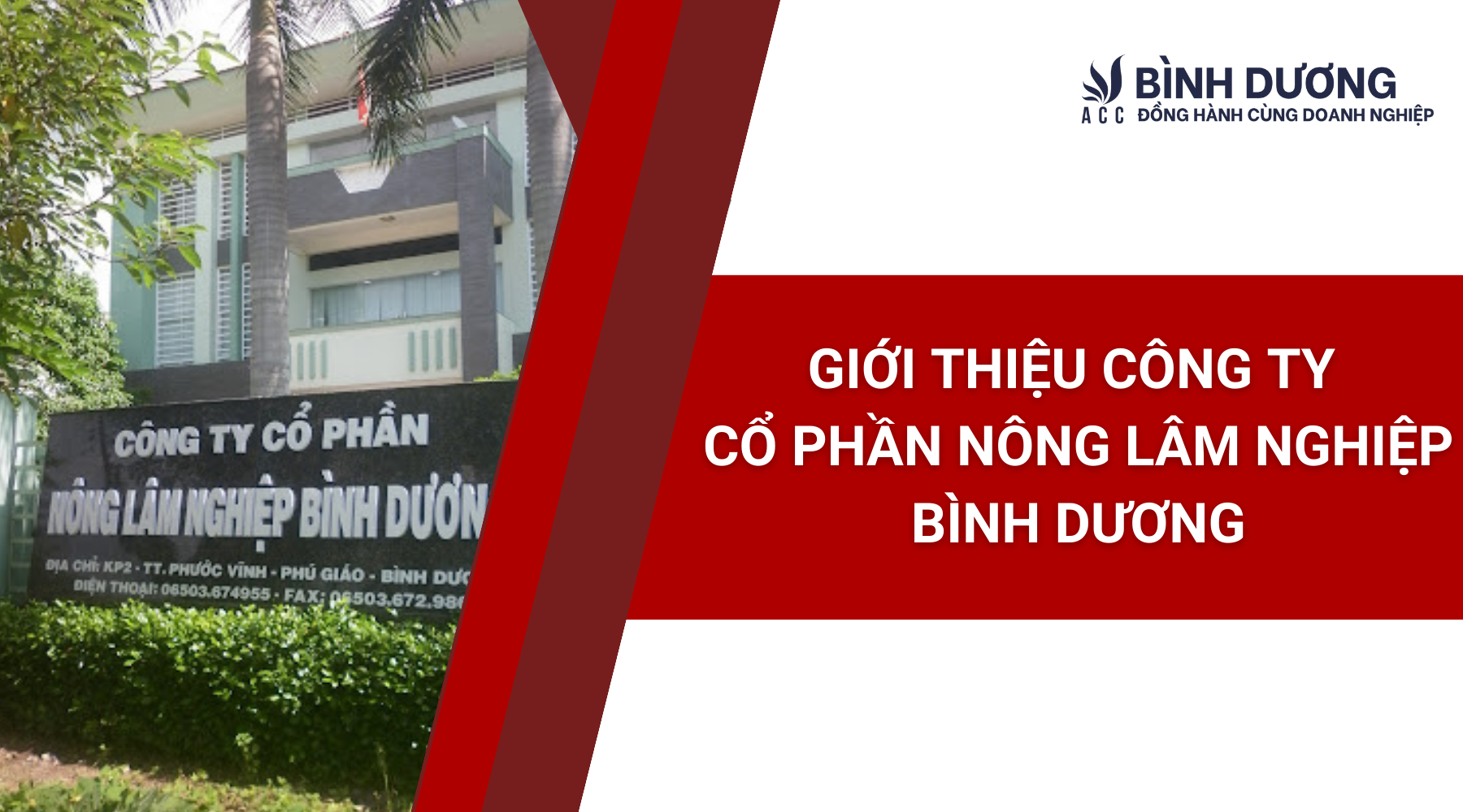 Giới thiệu Công ty Cổ phần Nông Lâm nghiệp Bình Dương