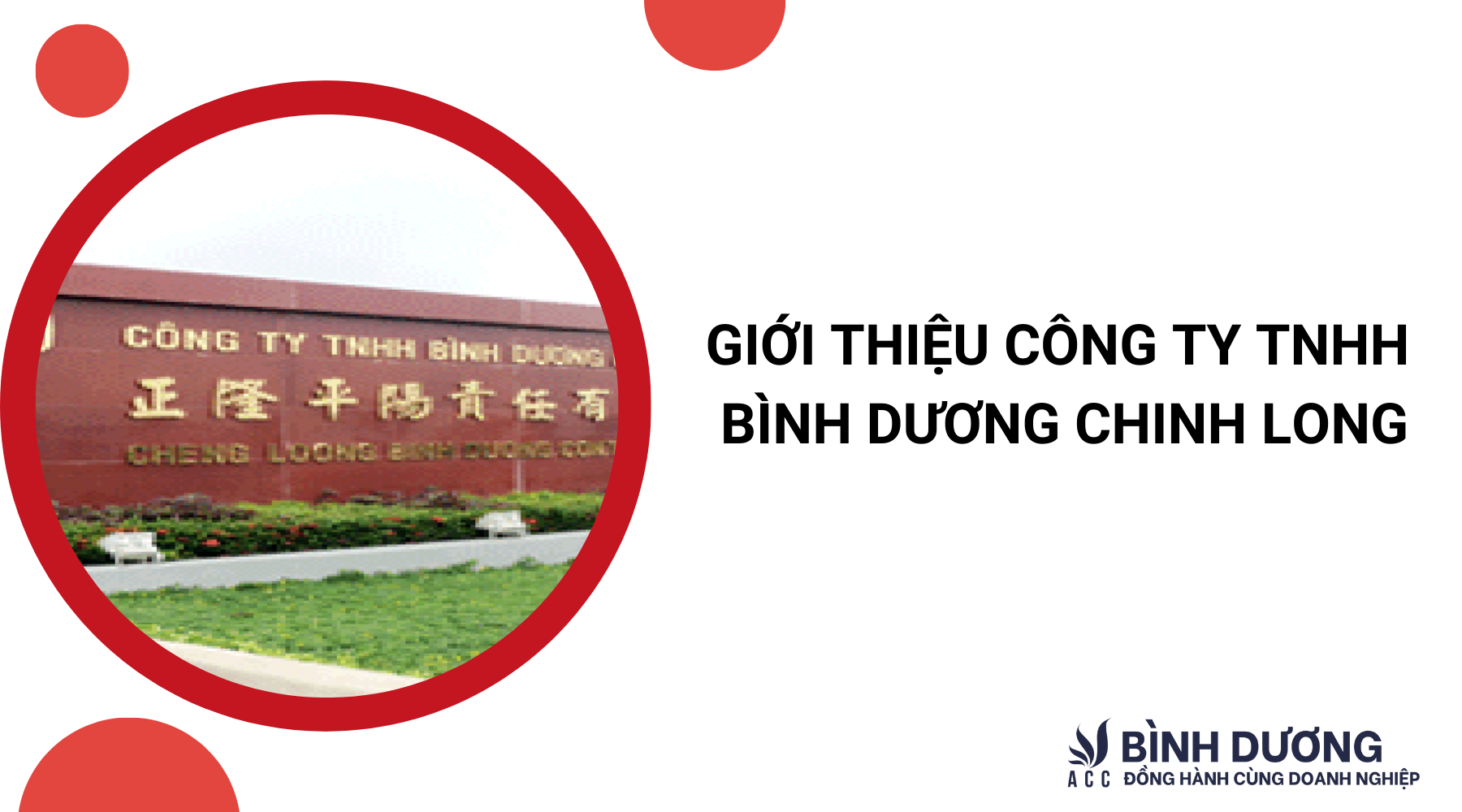 Giới thiệu Công ty TNHH Bình Dương Chinh Long