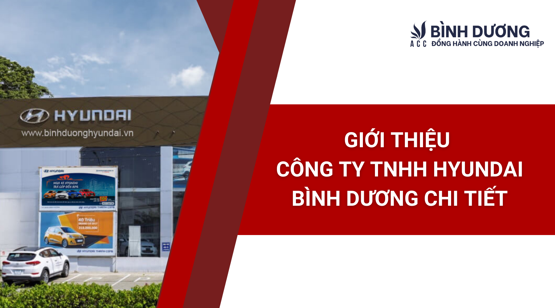 Giới thiệu Công ty TNHH Hyundai Bình Dương chi tiết