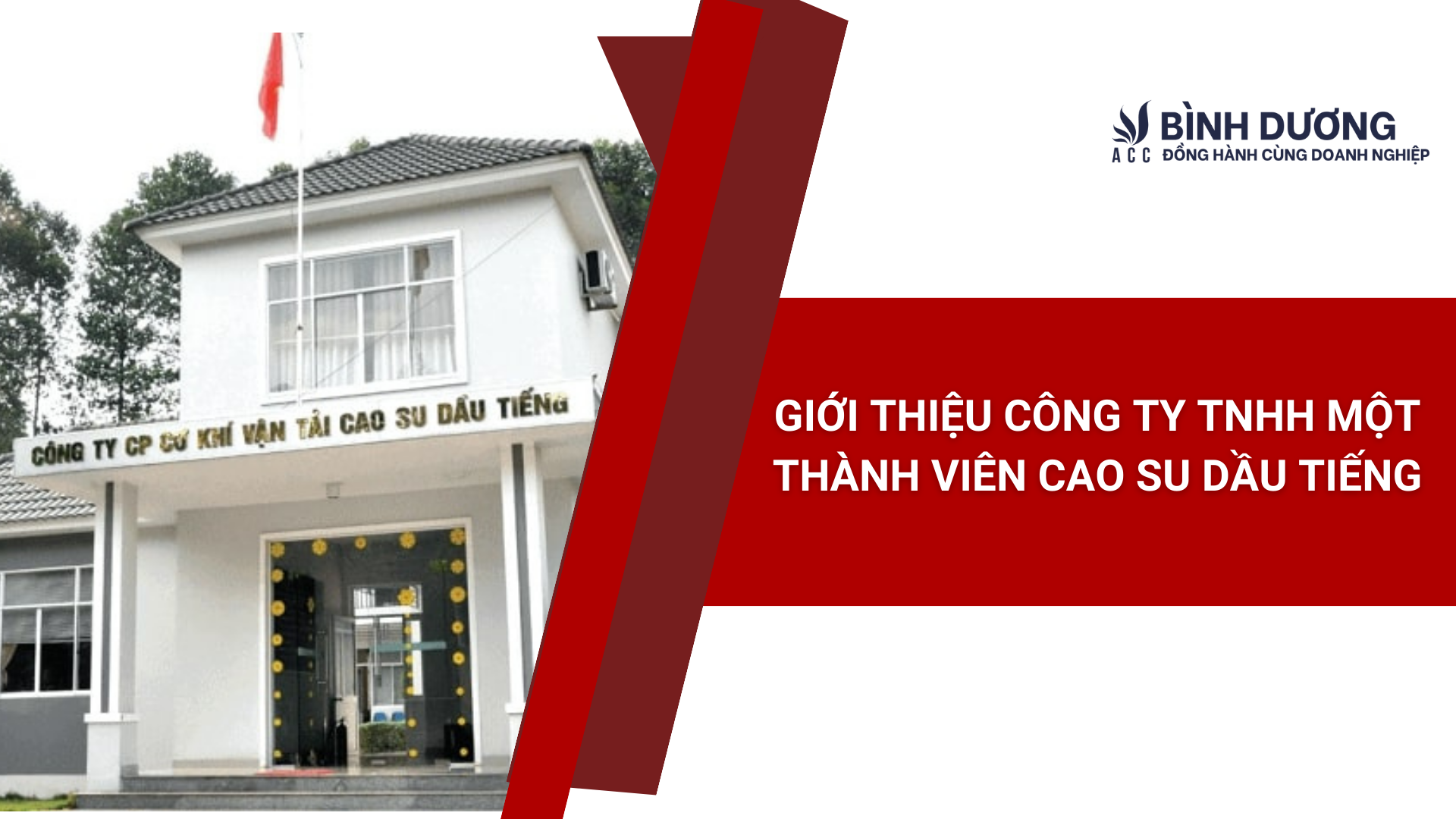 Giới thiệu Công ty TNHH Một thành viên Cao su Dầu Tiếng