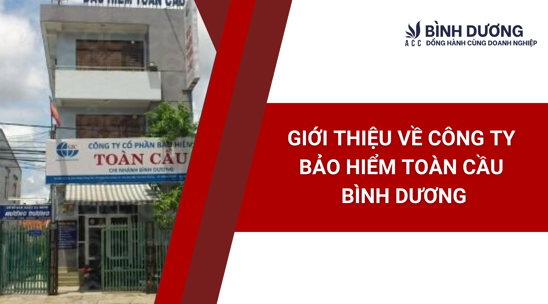 Giới thiệu về Công ty Bảo hiểm Toàn Cầu Bình Dương