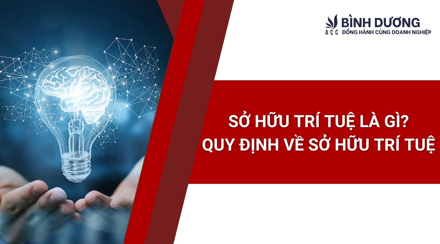 Sở hữu trí tuệ là gì? Quy định về sở hữu trí tuệ
