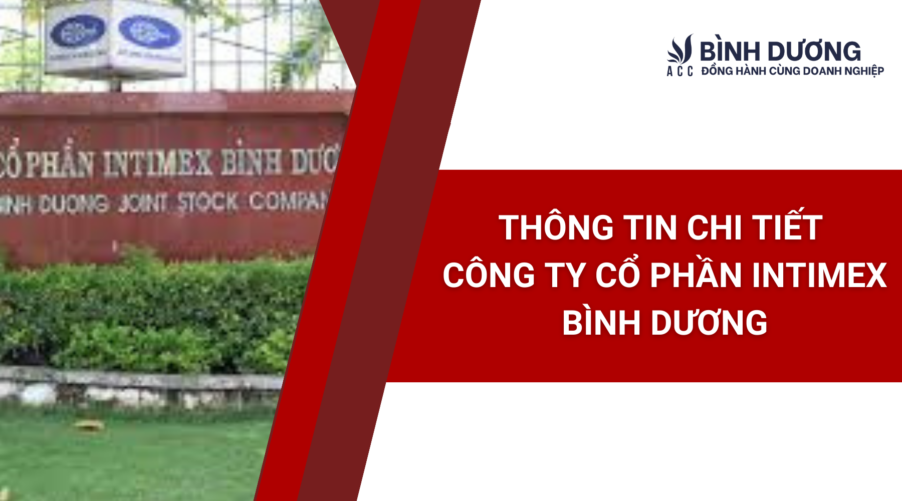 Thông tin chi tiết Công ty Cổ phần Intimex Bình Dương