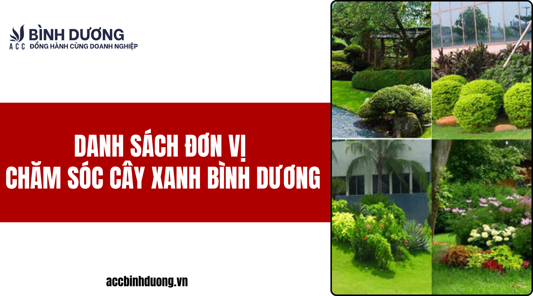 Danh sách đơn vị chăm sóc cây xanh bình dương