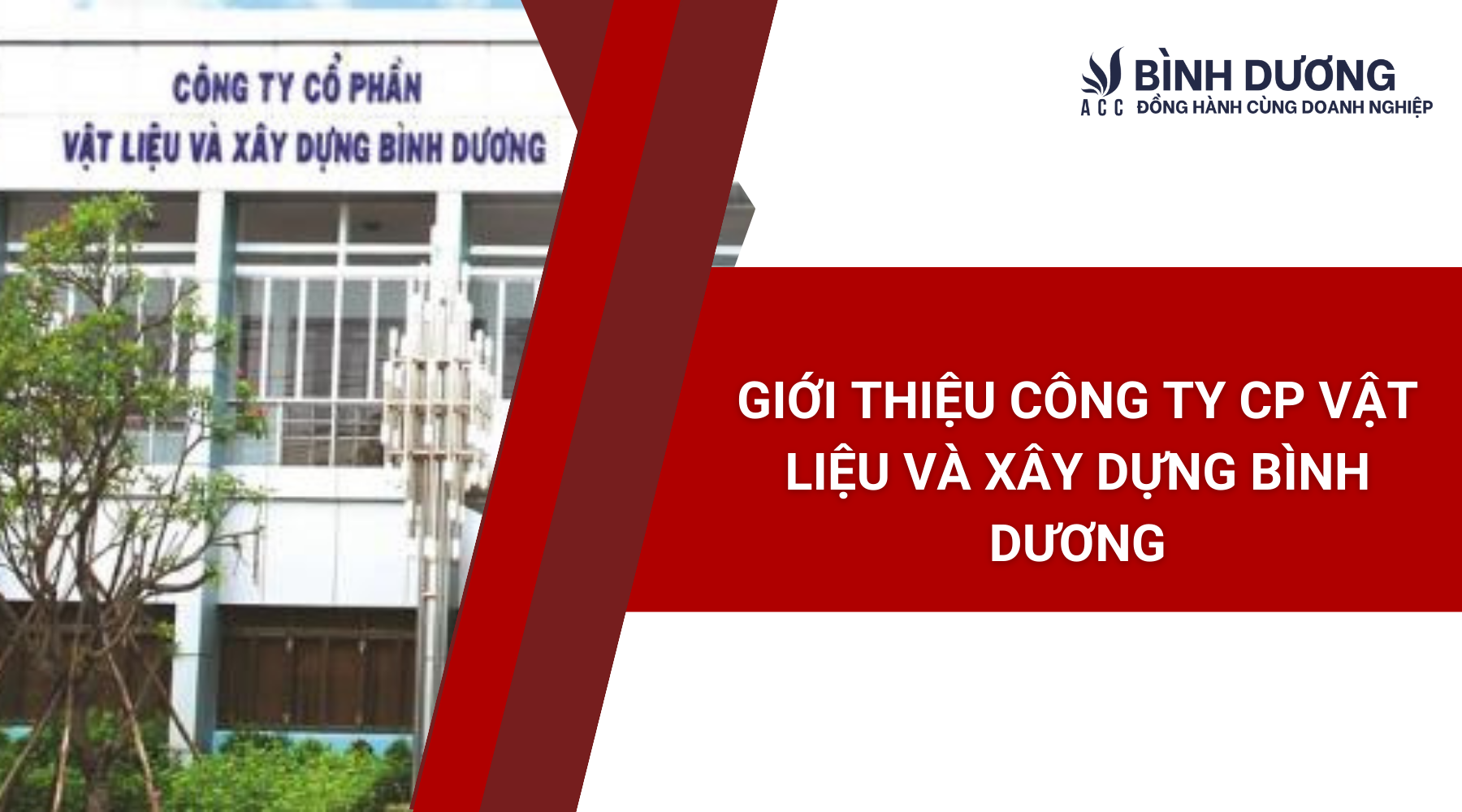 Giới thiệu Công ty CP Vật liệu và Xây dựng Bình Dương
